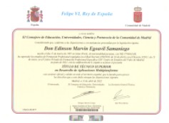 Título Técnico Superior en DAM